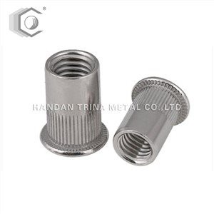 Écrou à rivet avec extrémité plate